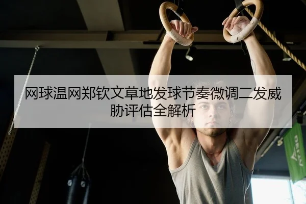 wang-qiu-wen-wang-zheng-qin-wen-cao-di-fa-qiu-jie-zou-wei-diao-er-fa-wei-xie-ping-gu-quan-jie-xi-2-291.jpg